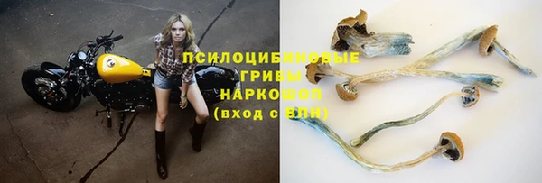 метадон Алексеевка
