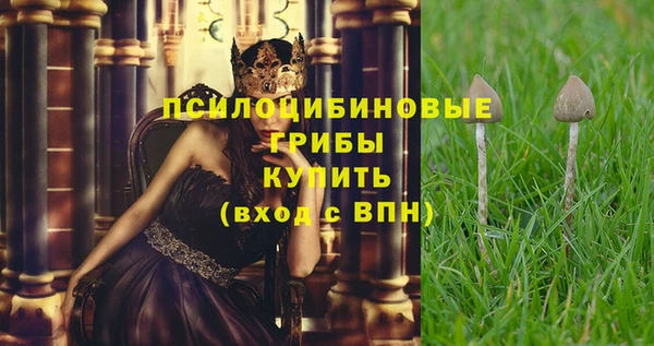 СК Абдулино